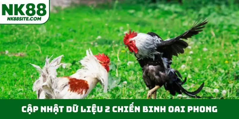 Cập nhật dữ liệu 2 chiến binh oai phong
