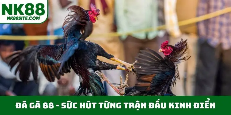 Đá gà 88