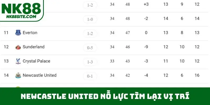 Newcastle United nỗ lực tìm lại vị trí