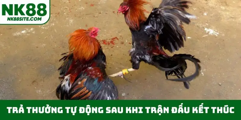 Trả thưởng tự động sau khi trận đấu kết thúc